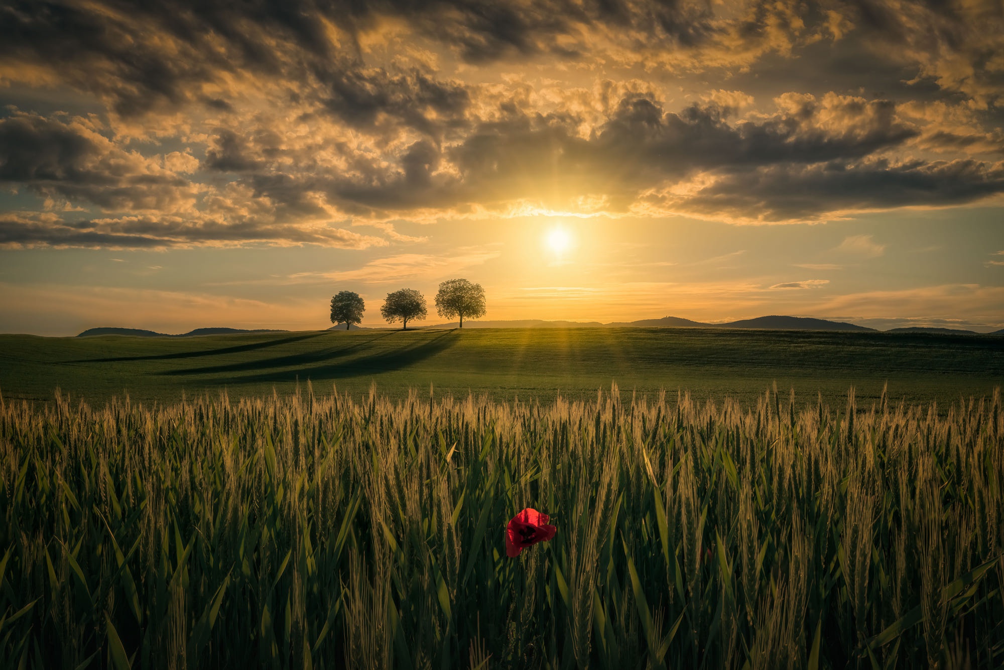 horizon_view